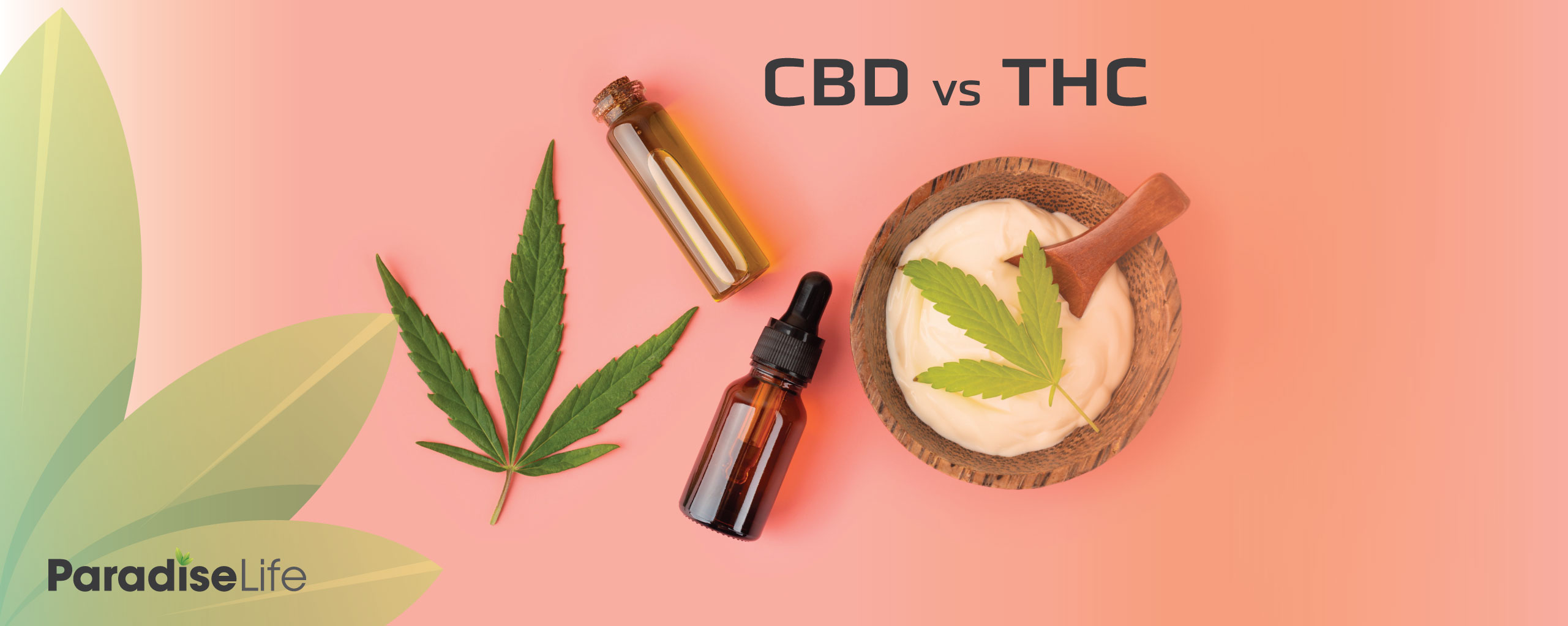 CBD VS THC: EXPLORANDO LAS DIFERENCIAS Y BENEFICIOS