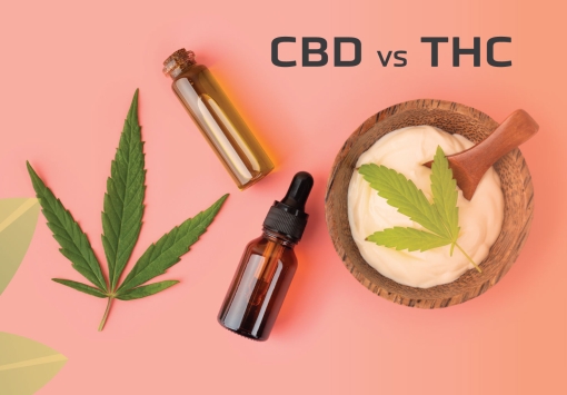 CBD VS THC: EXPLORANDO LAS DIFERENCIAS Y BENEFICIOS