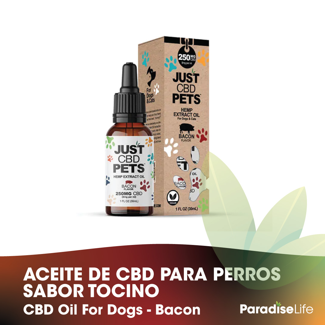 01-aceites-para-perros.jpg