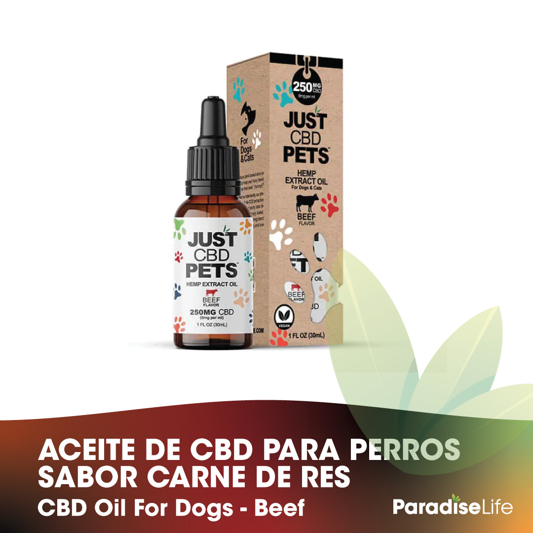 02-aceites-para-perros.jpg